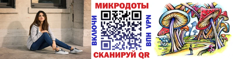 Купить где  Сычёвка  Псилоцибиновые грибы мицелий 